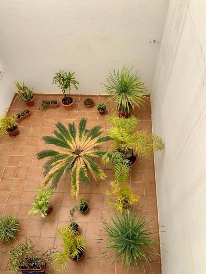 Apartamento En El Centro, Tranquilo Y Luminoso Málaga Kültér fotó